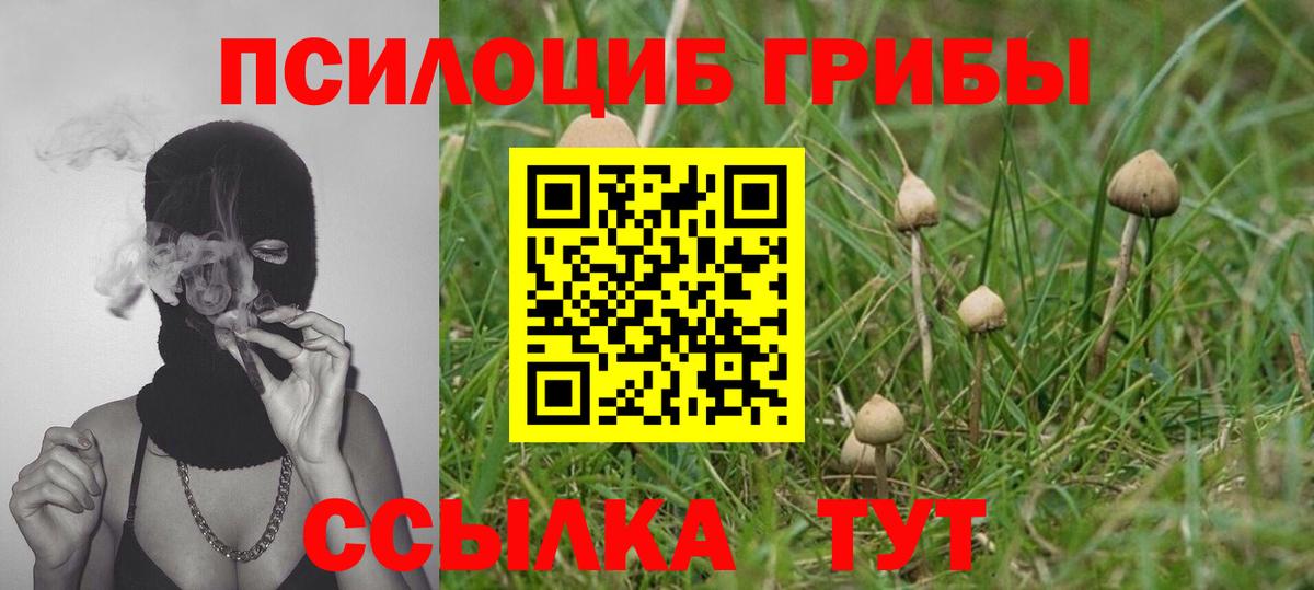 Псилоцибиновые грибы Cubensis  где купить наркоту  Ревда  Вход с VPN  Псилоцибиновые грибы Cubensis 